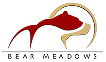 - Design By Creative Bearings
