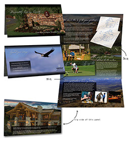 - Design By Creative Bearings