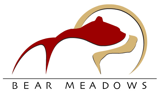 - Design By Creative Bearings