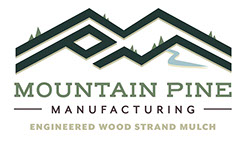 Branding Design