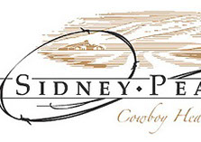 Original Logo Design