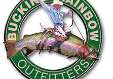 Original Logo Design