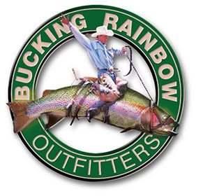 Original Logo Design