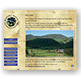 - Design By Creative Bearings