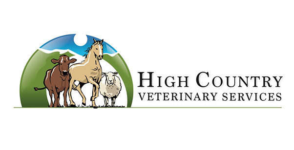 - Design By Creative Bearings