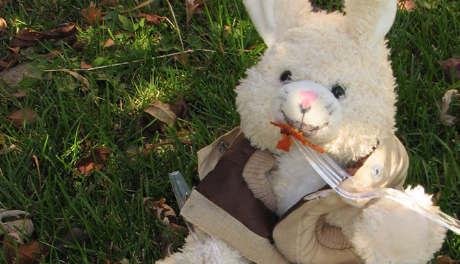 Original Steamboat Advertising Photograhy