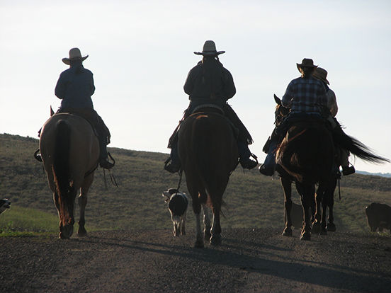 Original Steamboat Advertising Photograhy