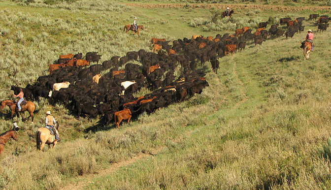 Original Steamboat Advertising Photograhy