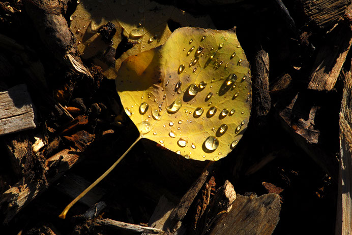 - Design By Creative Bearings