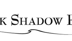 Branding Design