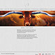 Logo/Branding By Creative Bearings