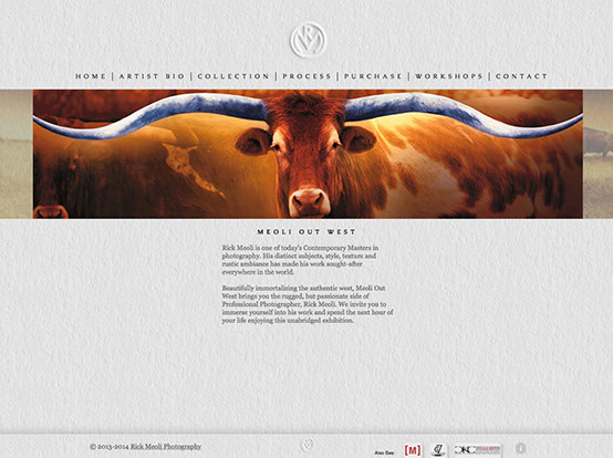 Logo/Branding By Creative Bearings