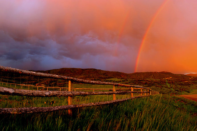 - Design By Creative Bearings