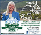 Diane for Colorado Ad - Design By Creative Bearings