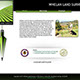 Logo/Branding By Creative Bearings